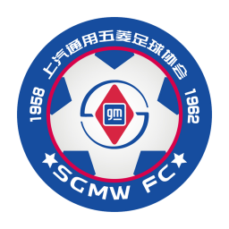 柳州市柳南区队