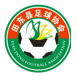 百色市田东县队